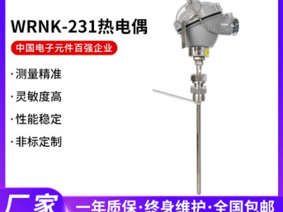 安徽天康WRNK-231热电偶