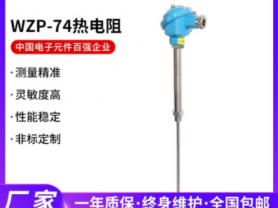 安徽天康WZP-74 热电阻