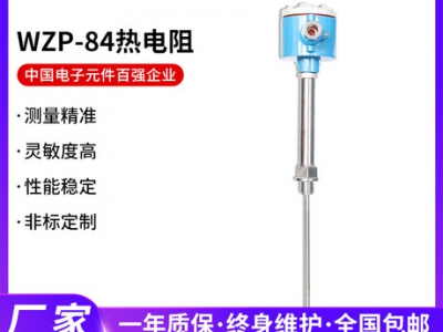 安徽天康 WZP-84热电阻